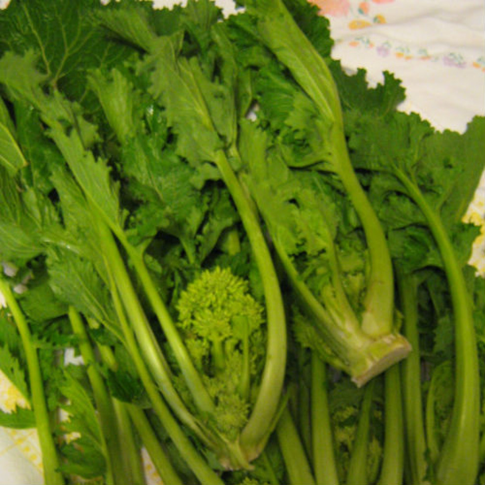 Cime di rapa biologiche Cime di rapa biologiche