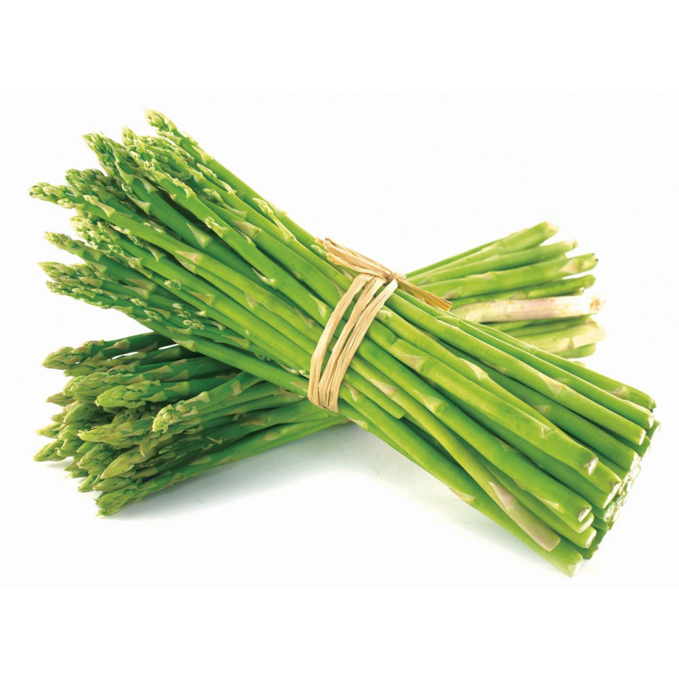 Asparagina Biologica Asparagina Biologica