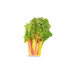 Bietola colorata Bio