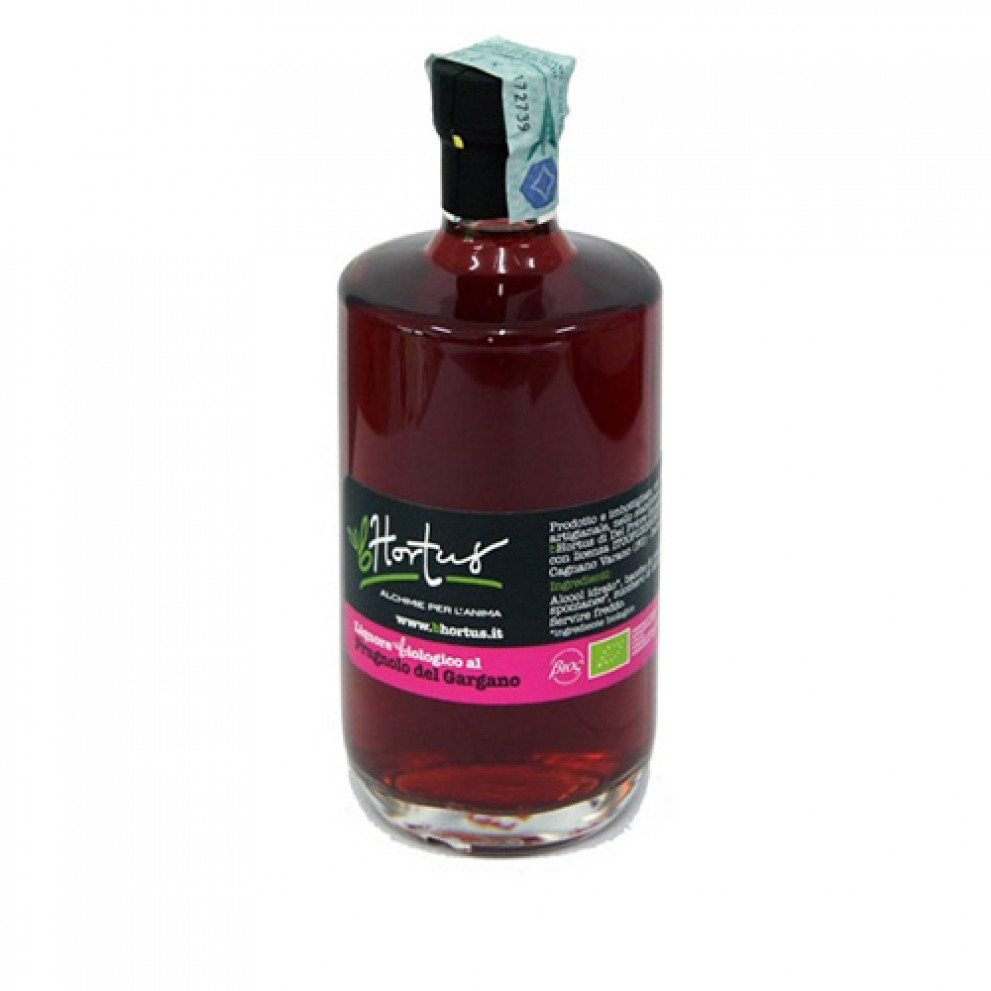 Liquore Prugnolo Bio BHortus Liquore Prugnolo Bio BHortus