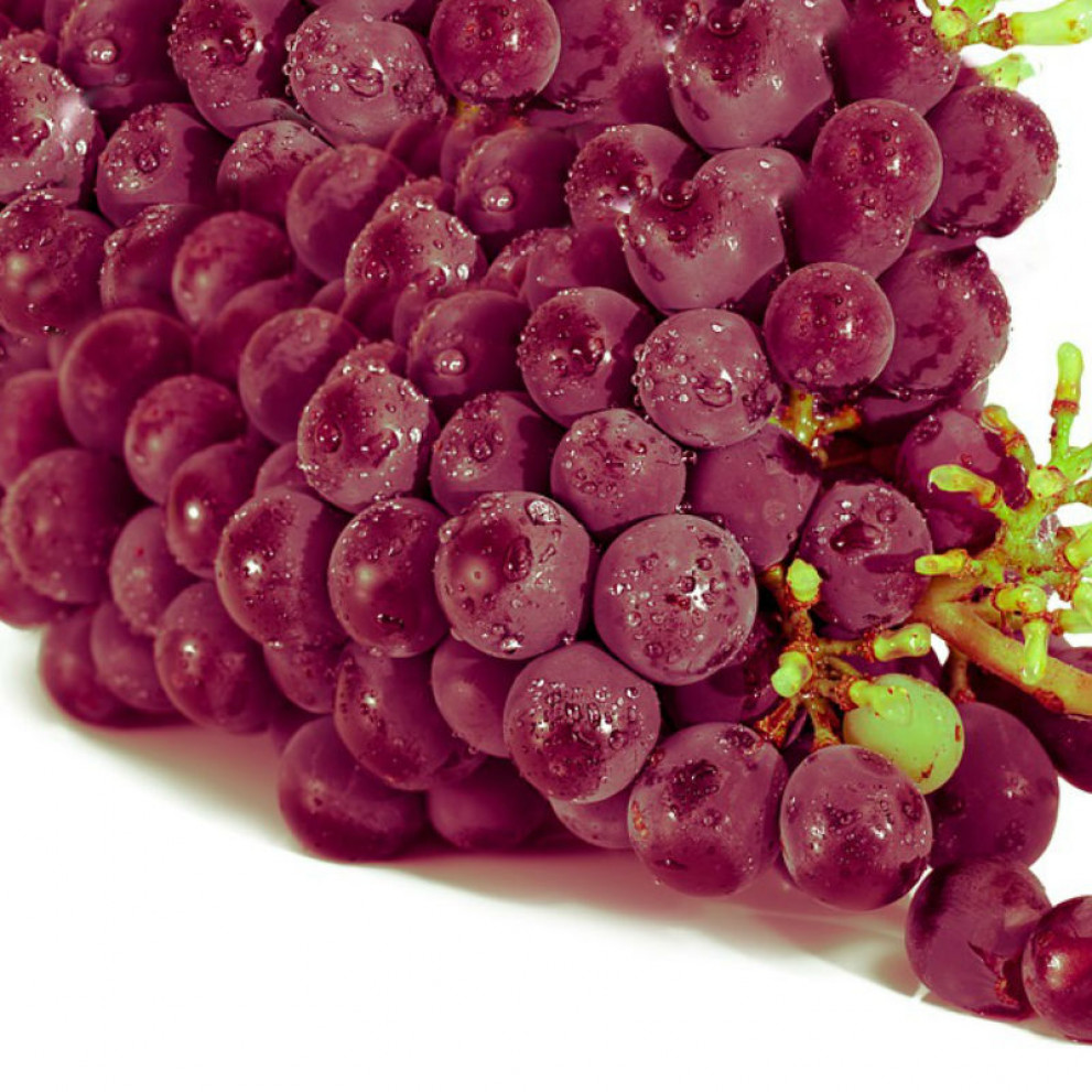 Uva da tavola rossa Bio Uva da tavola rossa Bio